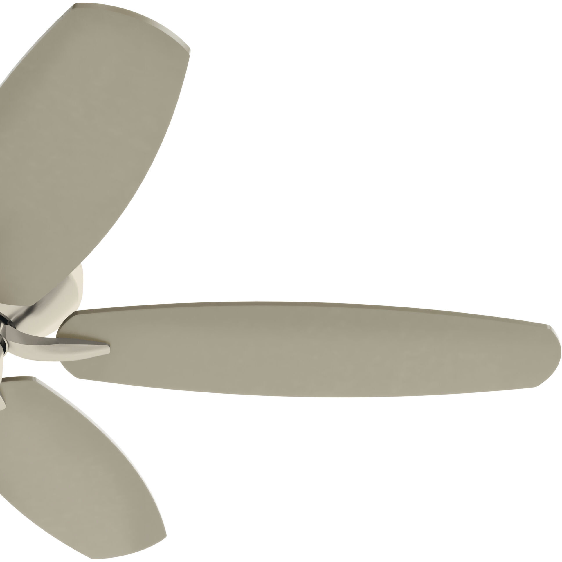 Renew 52 inch Brushed Stainless Steel with Silver Blades Ceiling Fan